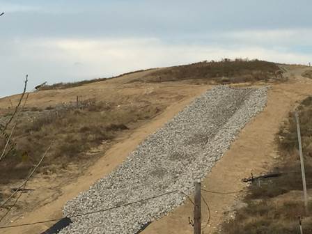 Seeding and erosion matting