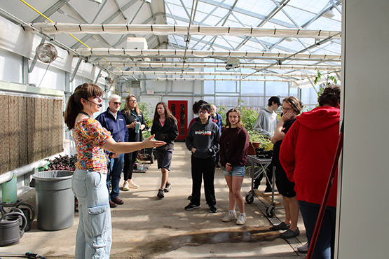 Greenhouse